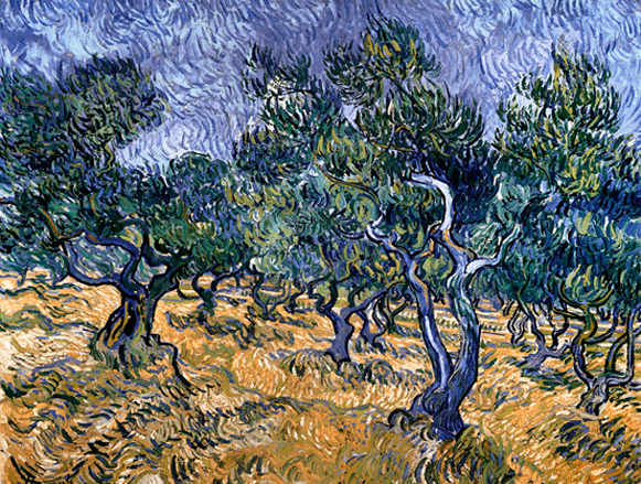 olivo en el arte Van gogh