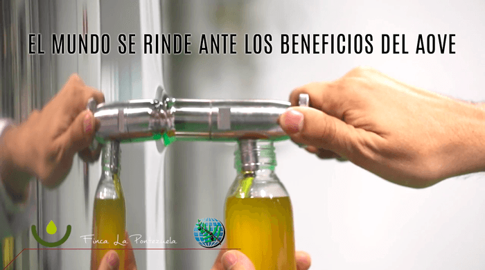 aceite de oliva virgen extra y su consumo en el mundo