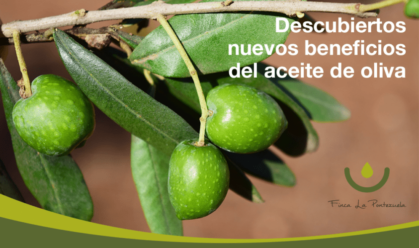 beneficios del aceite de oliva