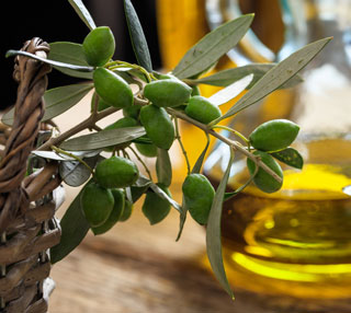 Efectos antiinflamatorios del Oleocanthal presente en el AOVE