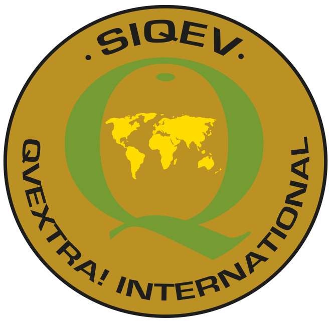 ¿Cómo saber si el aceite de oliva no está adulterado? ¿Cómo saber si el aceite de oliva no está adulterado?