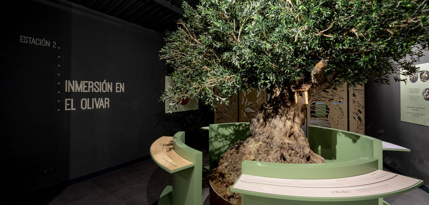 El Centro de Interpretación de Finca La Pontezuela Premio AEMO 2021