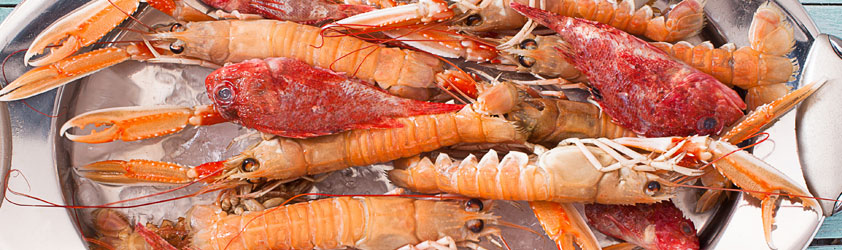 Disfruta de las mejores recetas de otoño con AOVE