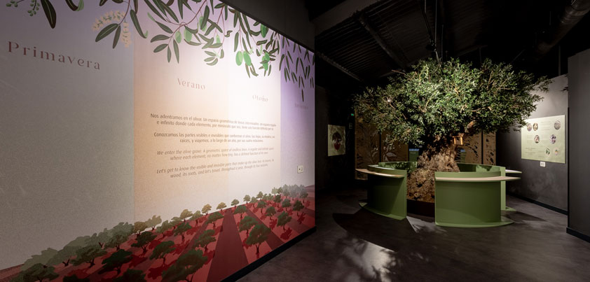 El Centro de Interpretación del Olivar 5 Elementos referente del oleoturismo