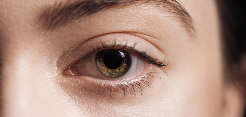 Aceite de oliva virgen extra para rejuvenecer tu mirada