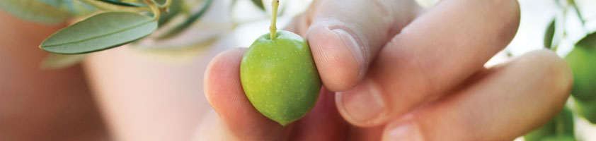 Claves para comprender el precio del AOVE en 2023