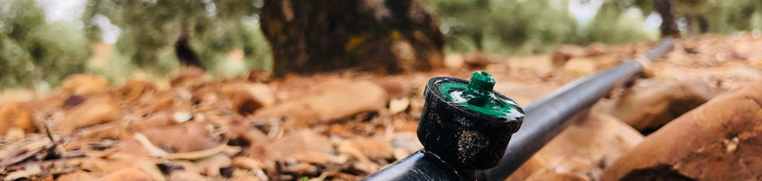 ¿El Aceite de Oliva Virgen Extra es un producto sostenible?