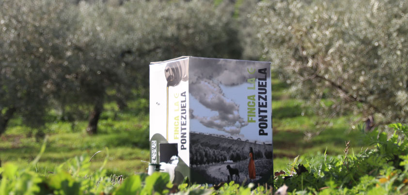 AOVE Bag in Box: La revolución en el almacenamiento del Aceite de Oliva Virgen Extra